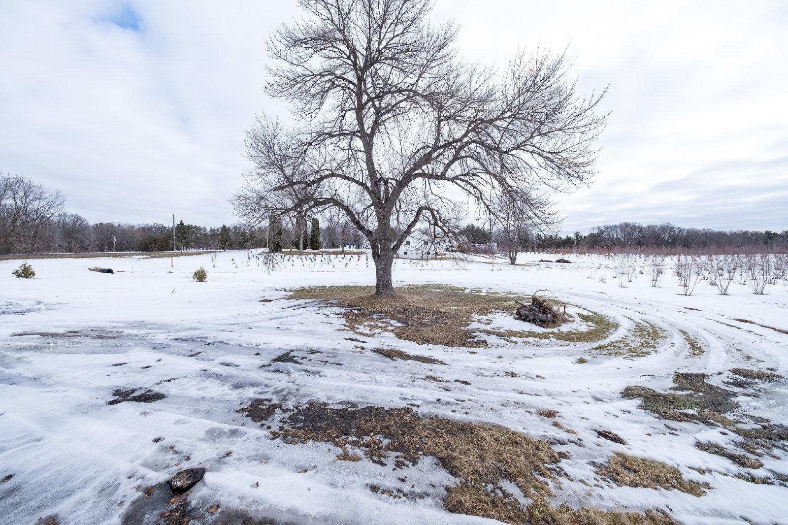 Oakdale Drive, Corcoran (22925) MJ CW1 - 1 property image