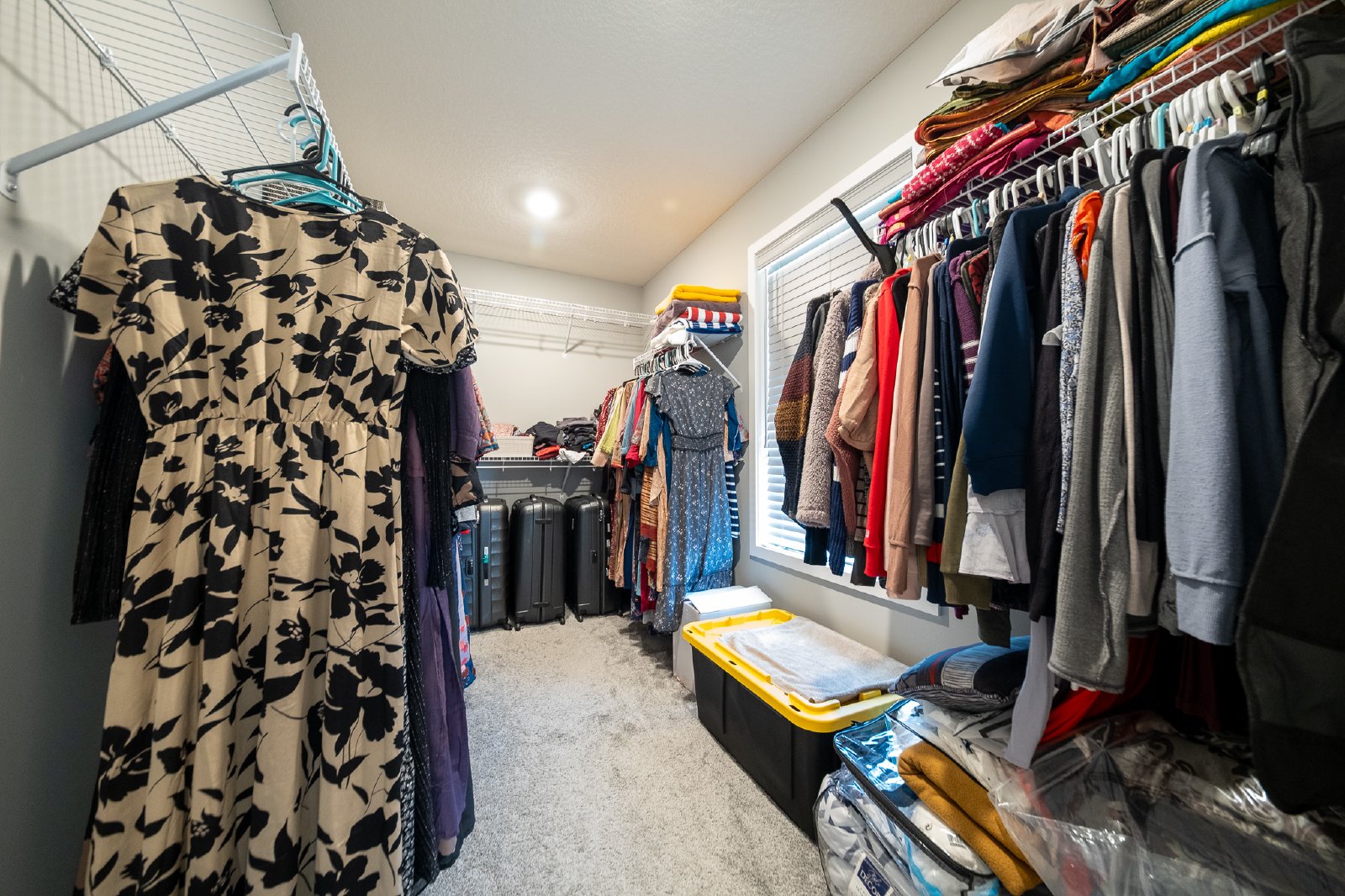 Abercrombie Lane, Woodbury (8380) JP KZ1 - 1 property image