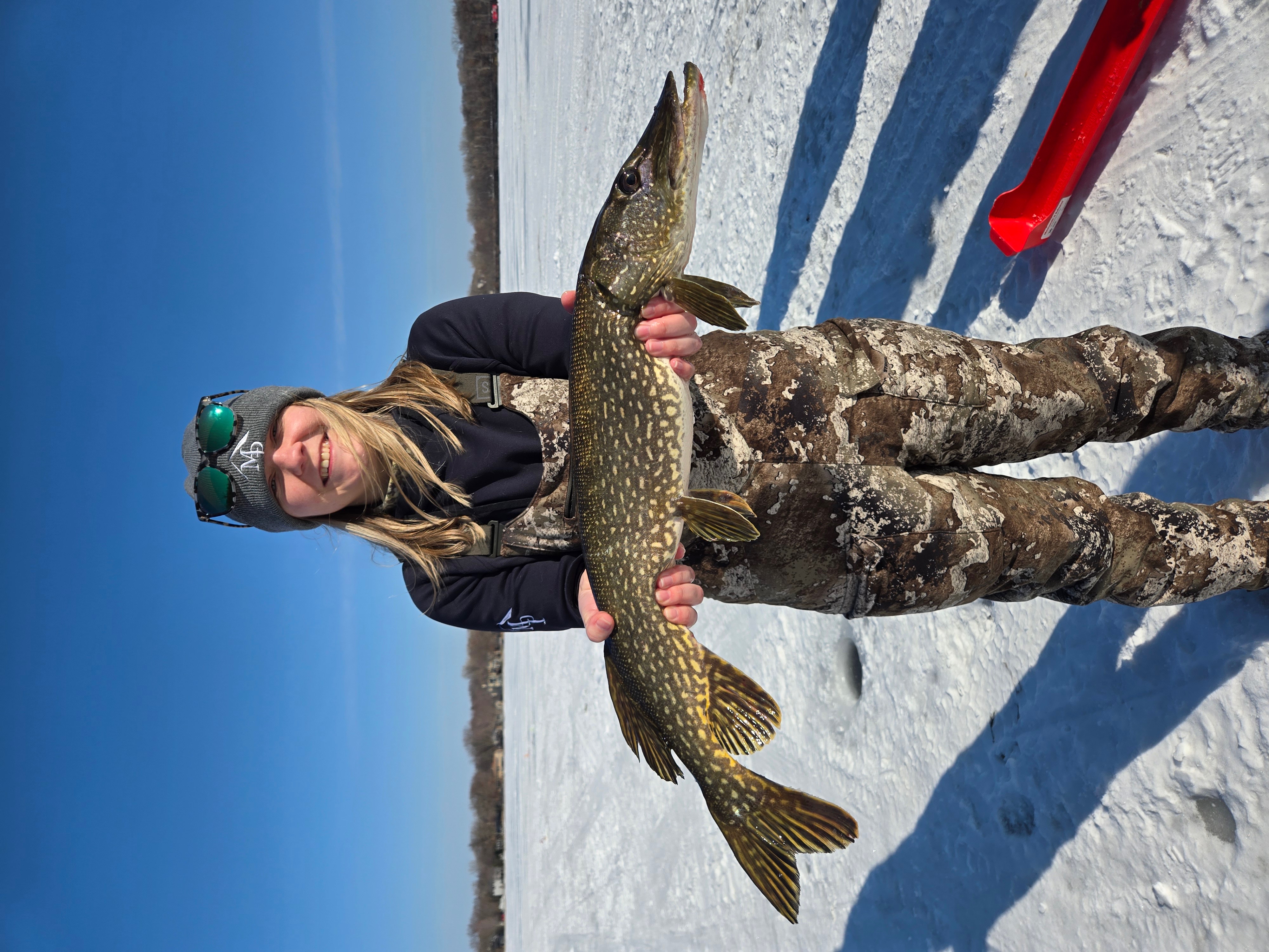 Picture of Liz Smith