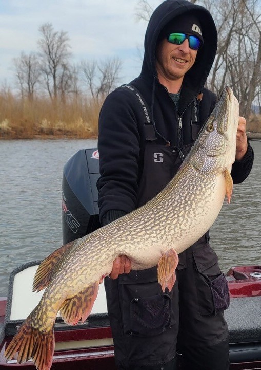 Picture of Vadym Snesrud